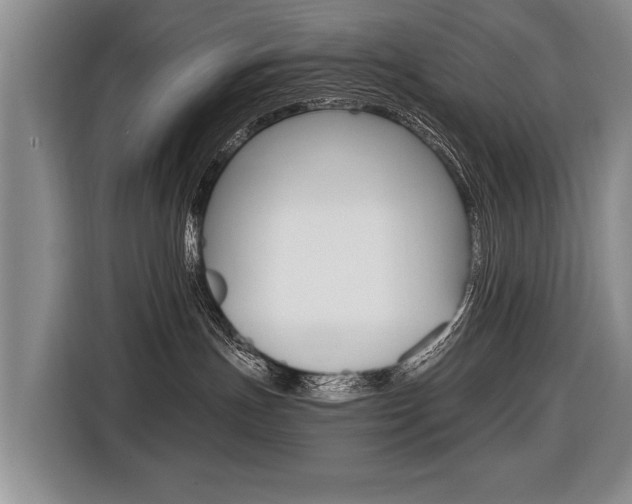 X0000116440191200912081400