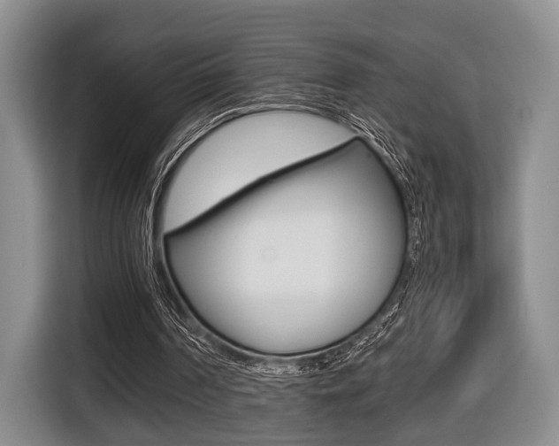 X0000116440194200912081359