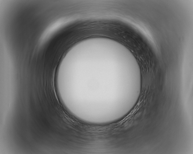 X0000116440195200912081359