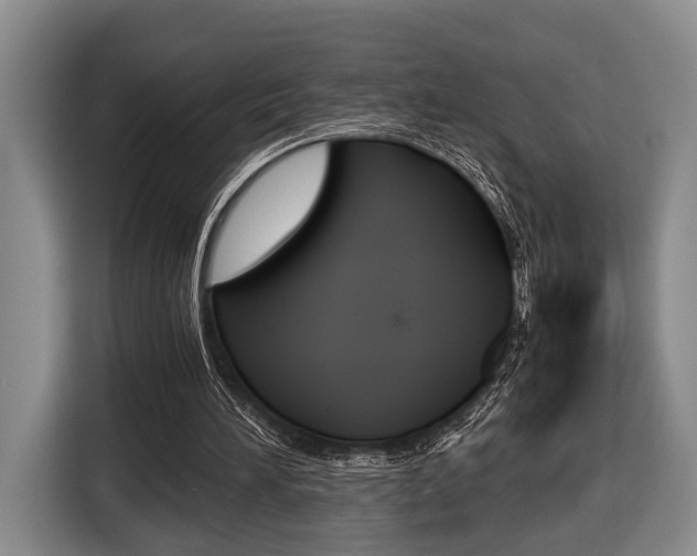 X0000116440196200912081359