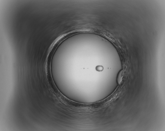 X0000116440200200912081359