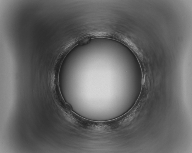 X0000116440201200912081359