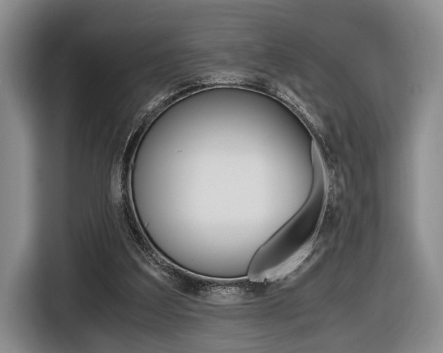 X0000116440203200912081359