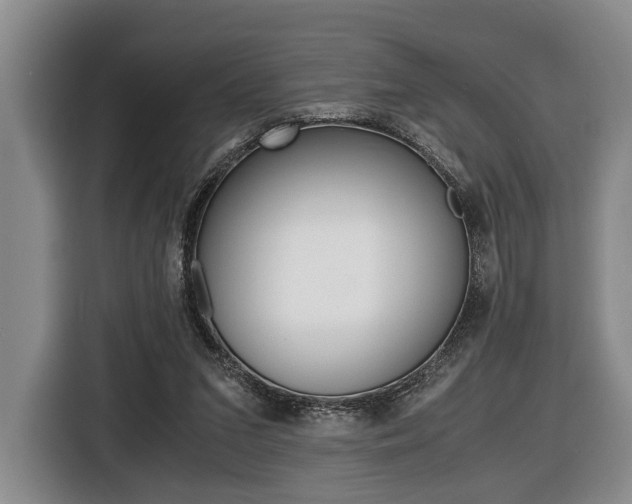 X0000116440207200912081359