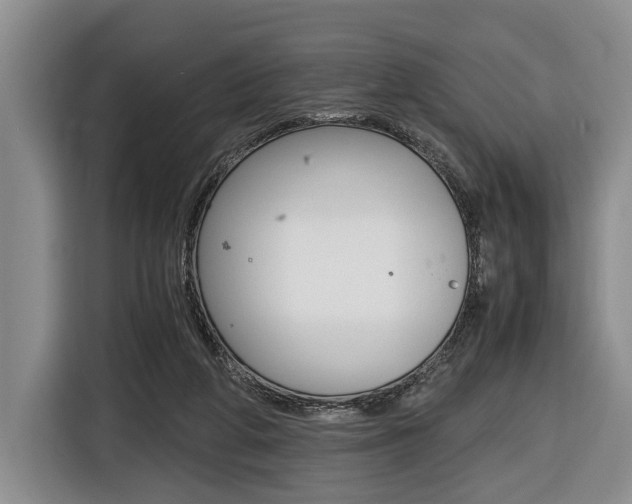 X0000116440210200912081359