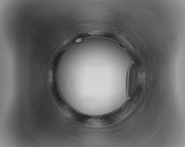 X0000116440211200912081359