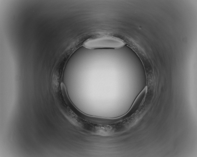X0000116440215200912081359