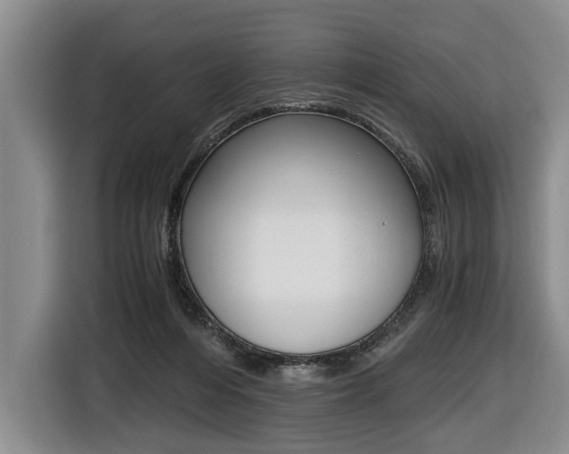 X0000116440216200912081359