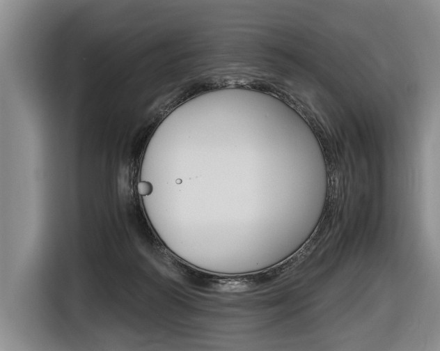 X0000116440218200912081359