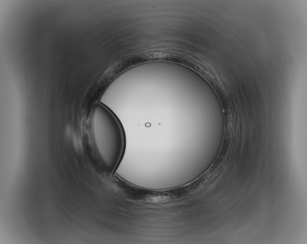 X0000116440220200912081359