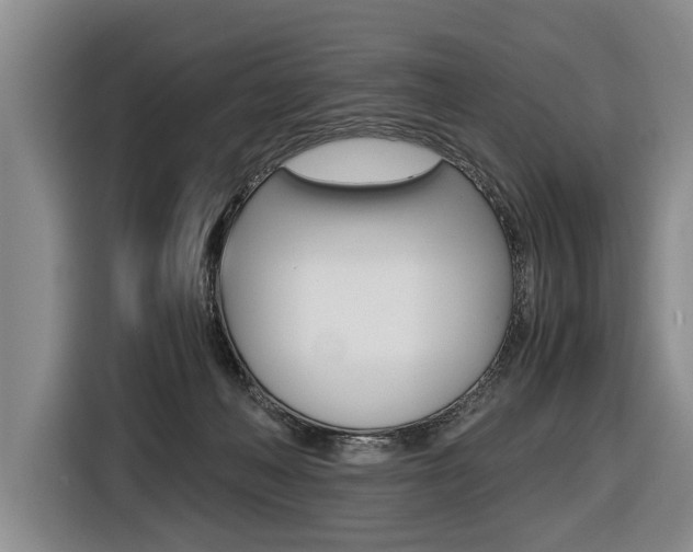 X0000116440222200912081359