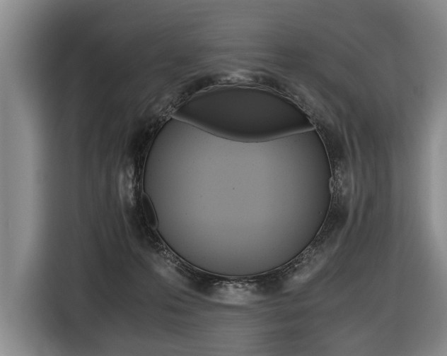 X0000116440223200912081359