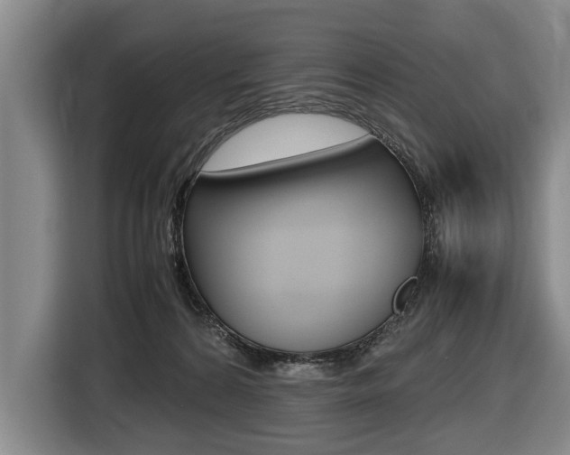 X0000116440224200912081359