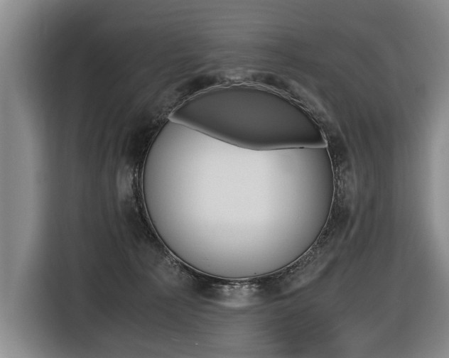 X0000116440225200912081359