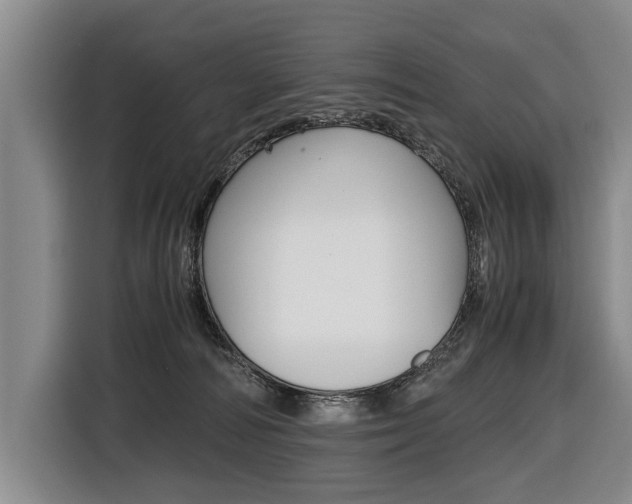 X0000116440226200912081359