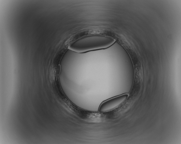 X0000116440227200912081359