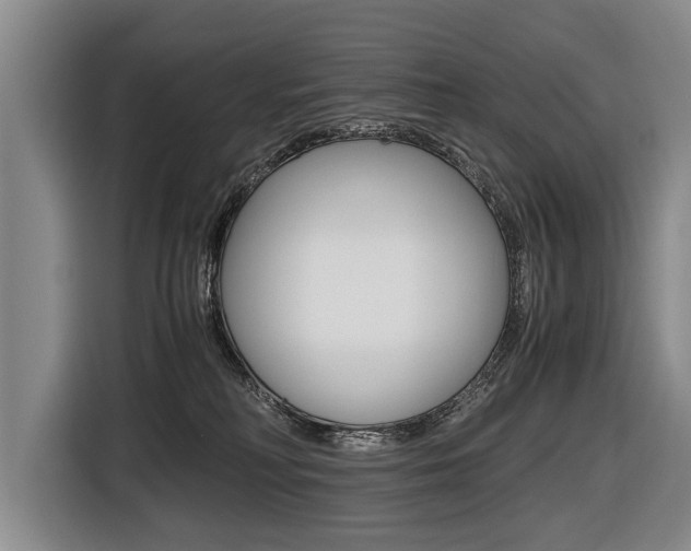 X0000116440230200912081359
