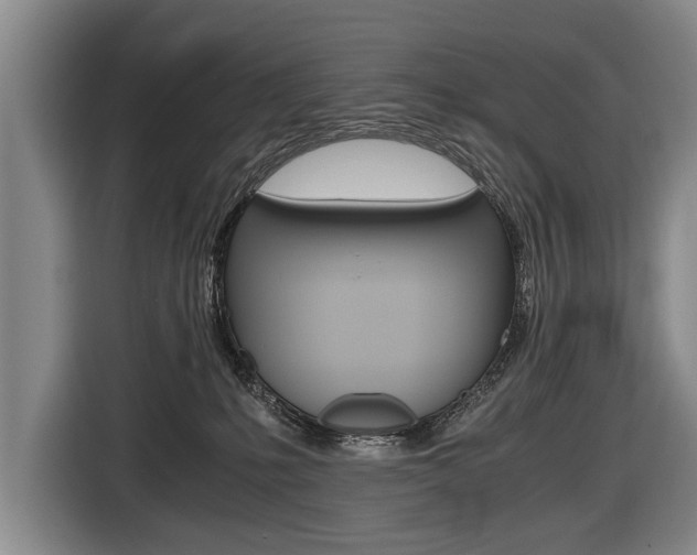 X0000116440231200912081359