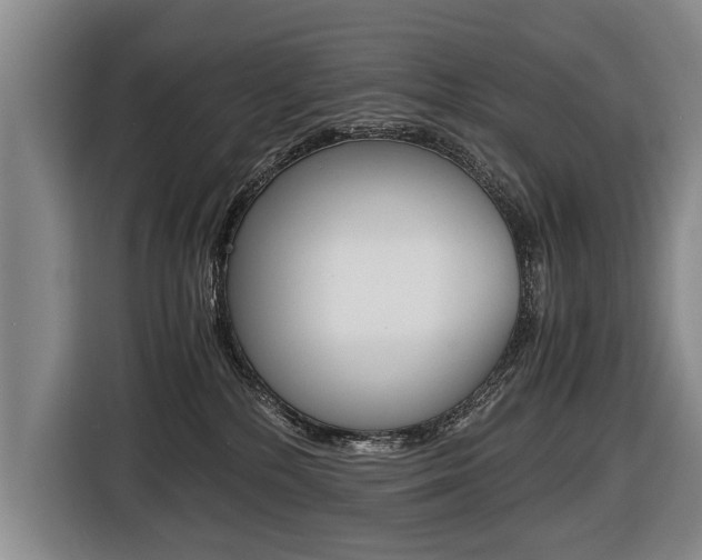 X0000116440232200912081359