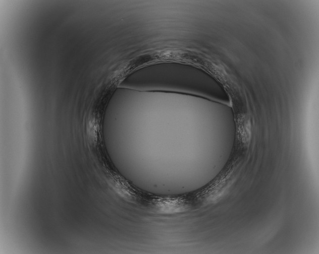 X0000116440235200912081359