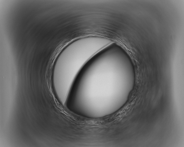 X0000116440241200912081358