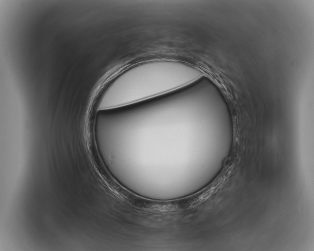 X0000116440245200912081358