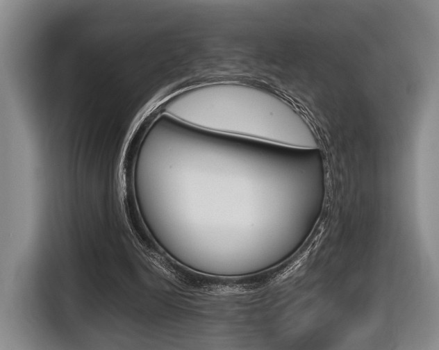 X0000116440246200912081358