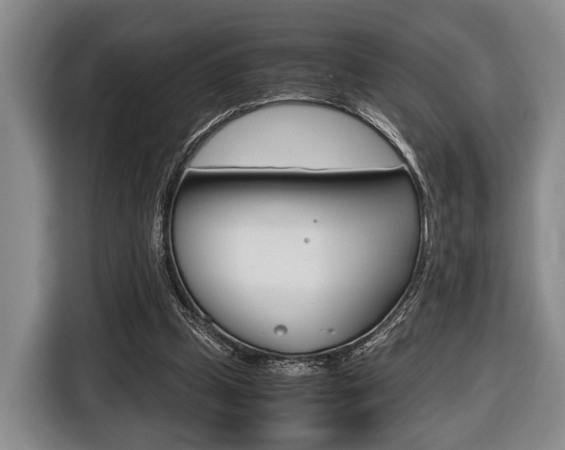 X0000116440249200912081358