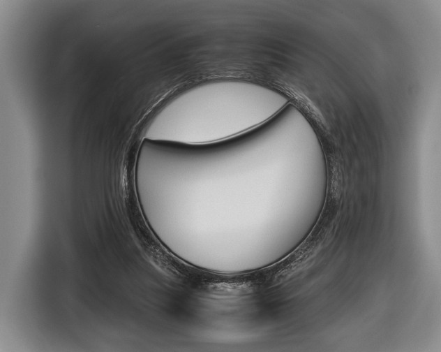 X0000116440251200912081358