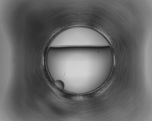 X0000116440253200912081358