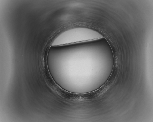 X0000116440254200912081358