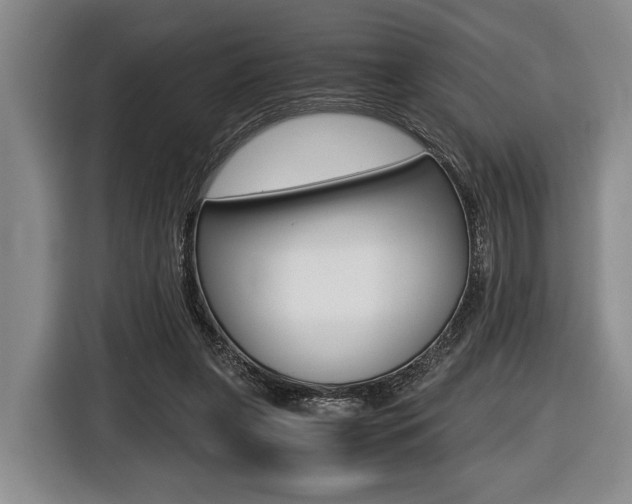 X0000116440255200912081358