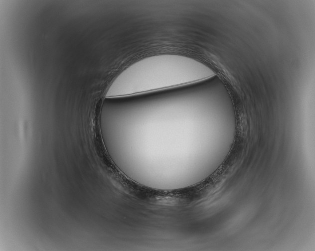 X0000116440259200912081358