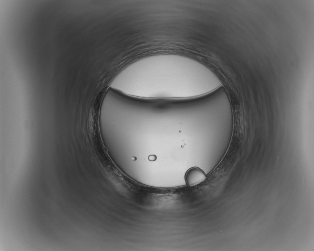 X0000116440266200912081359