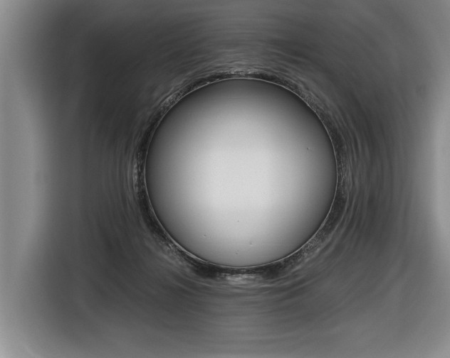 X0000116440268200912081359