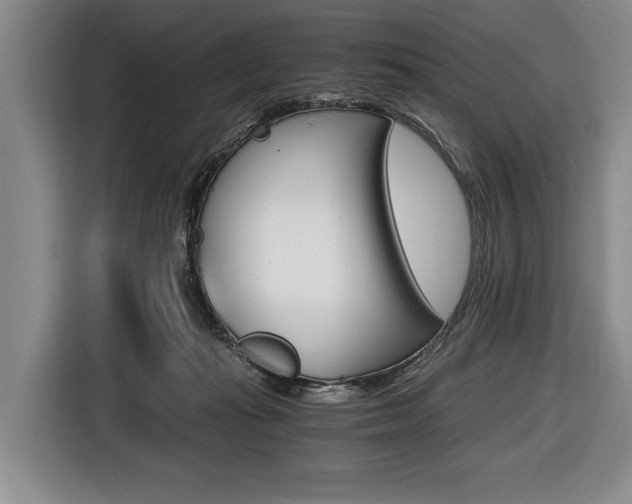 X0000116440269200912081359