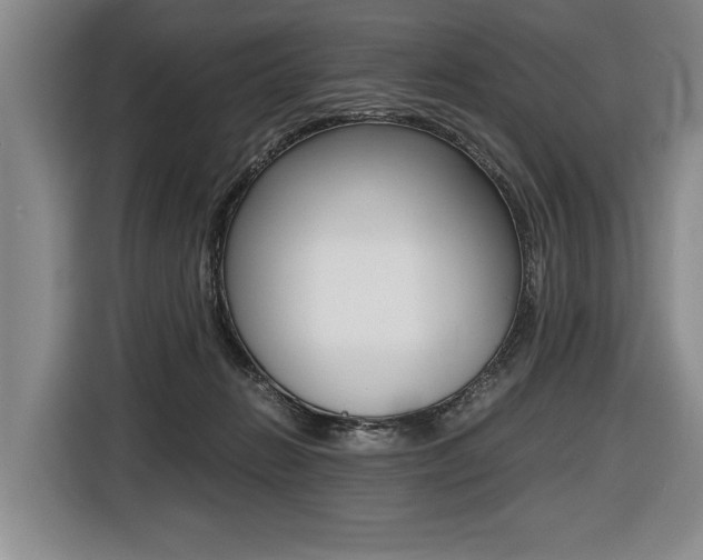 X0000116440270200912081359
