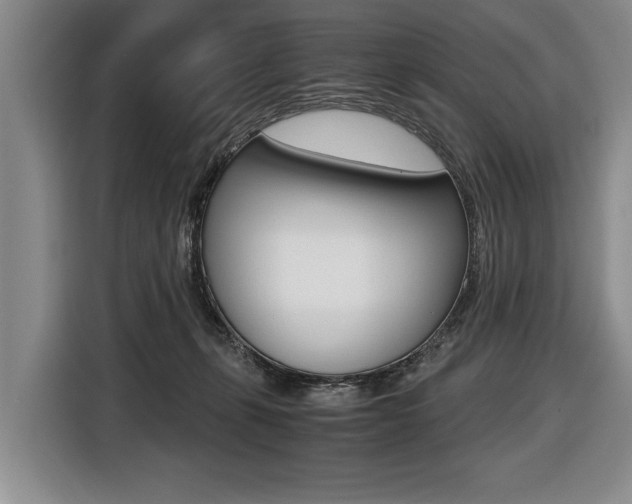 X0000116440271200912081359