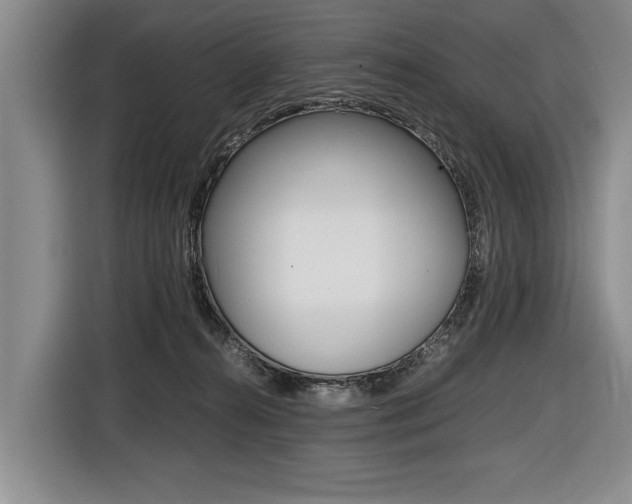 X0000116440272200912081359