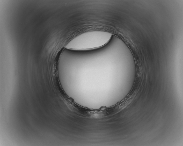 X0000116440273200912081359