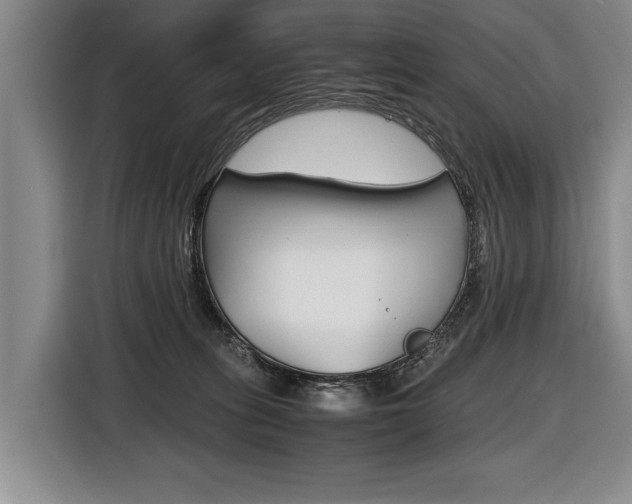 X0000116440275200912081359