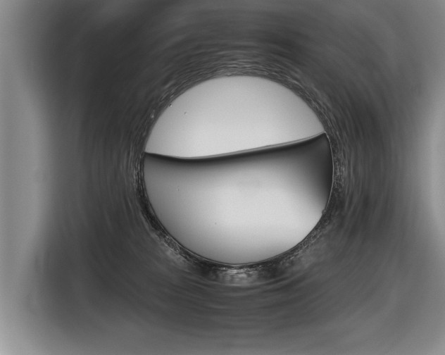 X0000116440277200912081359