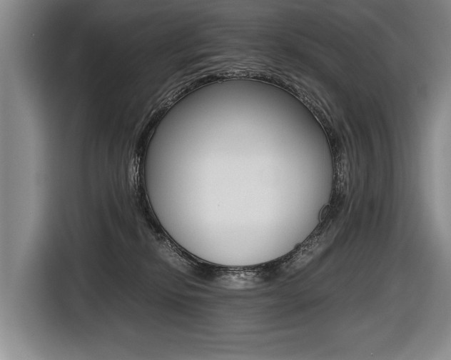 X0000116440278200912081359