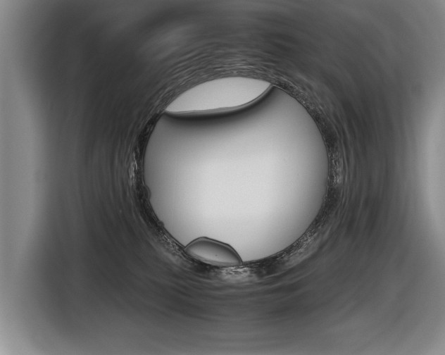 X0000116440279200912081359