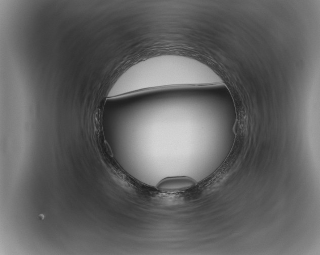 X0000116440280200912081359