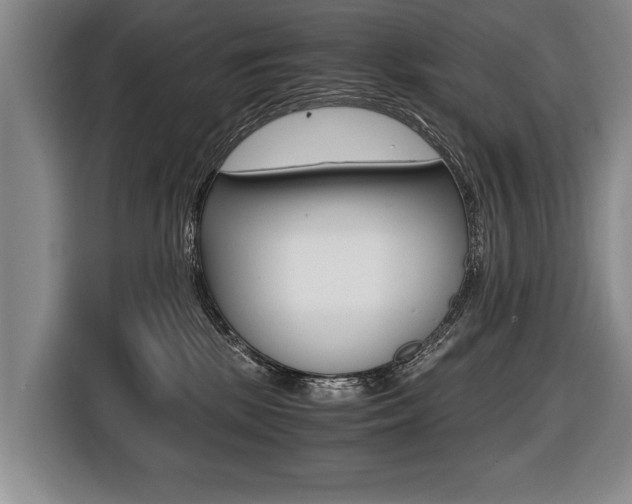 X0000116440281200912081359