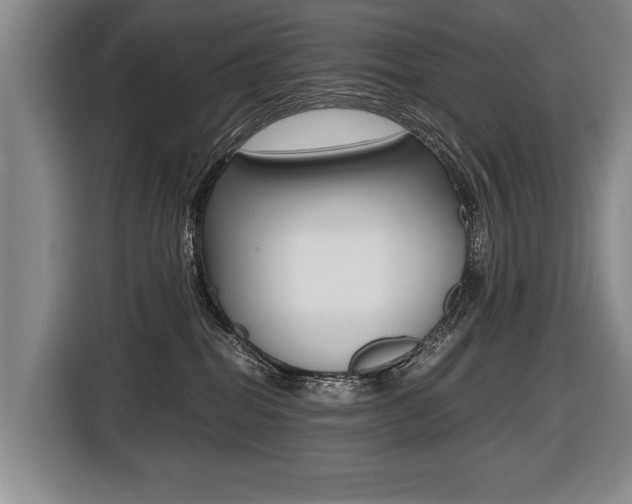 X0000116440282200912081359