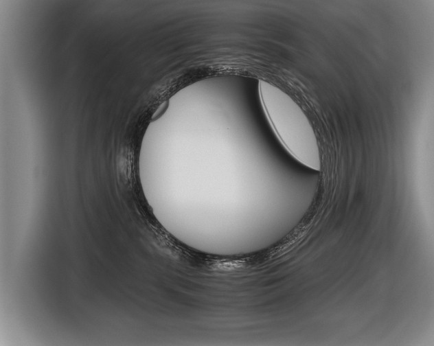X0000116440283200912081359