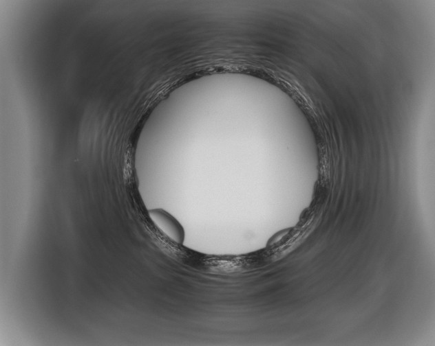 X0000116440285200912081359