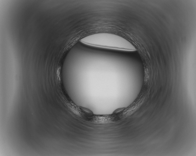 X0000116440286200912081359